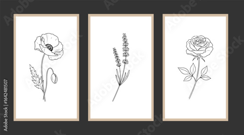 Modern boho abstract trendy background design. plant painting