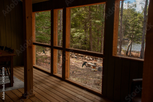 A cozy, rustic cottage interior with wooden floors and paneling, looking out through large windows to a wooded landscape and a sunlit lake.
