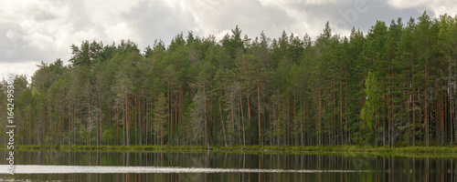 Fényképezés Serene lake with a dense forest of tall pine trees under a cloudy sky, reflecting perfectly on calm water