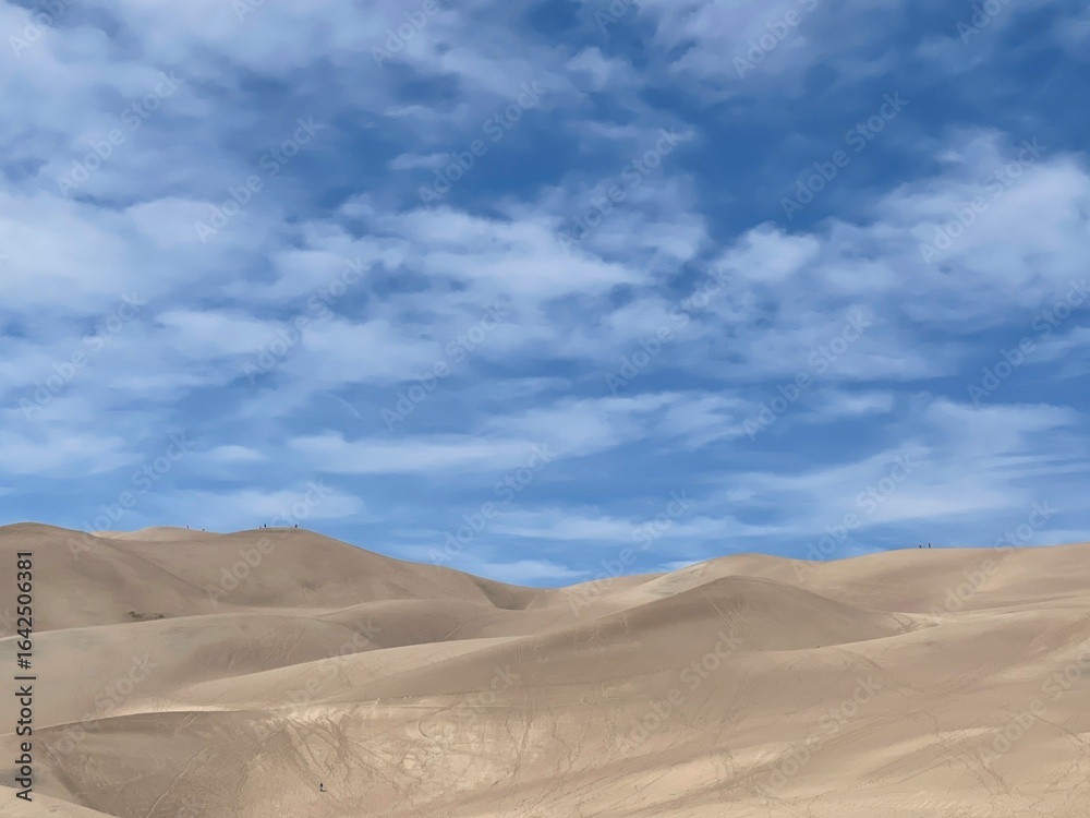 Fototapeta premium sand dunes in the desert