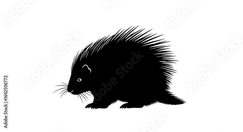 Wild Porcupine Silhouette with Quills on Isolated White Background