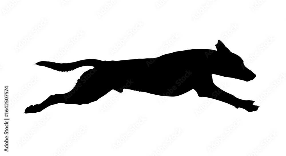 Fototapeta premium Dynamic Running Dog Silhouette on Isolated White Background