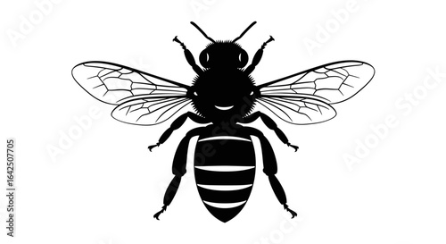 Detailed black silhouette of a honey bee with wings spread on an isolated white background.