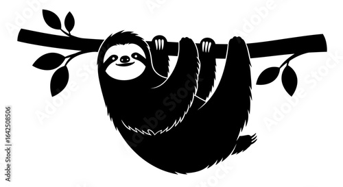 Happy Sloth Hanging Relaxed on a Tree Branch with a Smiling Face, Isolated White Background