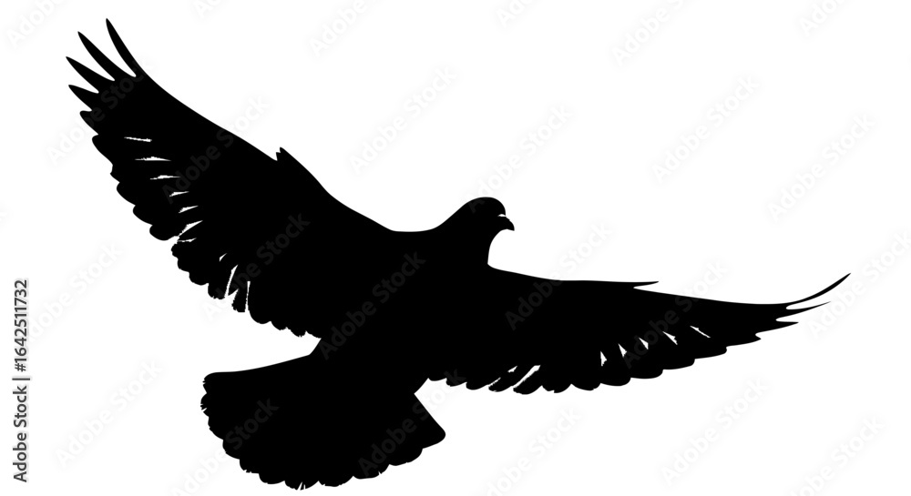 Fototapeta premium Majestic eagle in flight silhouette with outstretched wings, isolated white background.