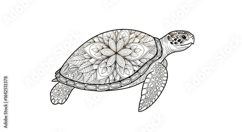 Intricate Sea Turtle with Mandala Pattern Line Art on Isolated White Background, Ocean Turtle Coloring Page