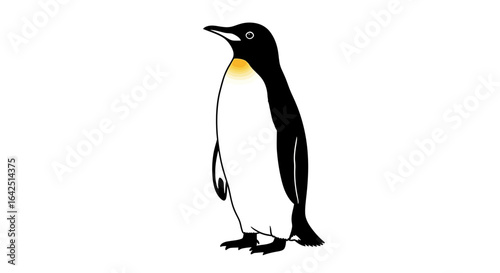 Cute Emperor Penguin Standing Adorably, Isolated White Background