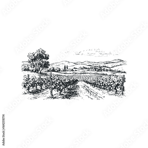 Vineyard landscape with rolling hills and distant farmhouses in ink sketch