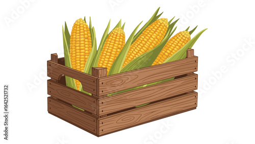 Fresh corn cobs in wooden crate illustration, harvest season organic farming concept art design