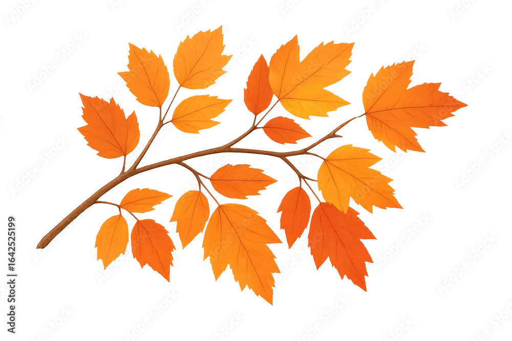 Obraz premium Branch with orange autumn leaves on transparent background
