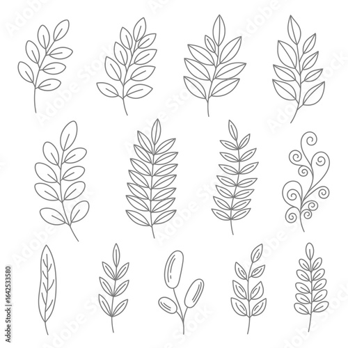 A collection of hand drawn leaf and botanical elements in black outline line art style. Perfect for nature-themed designs, eco-friendly packaging, organic branding, logos, wedding invitations, and dec