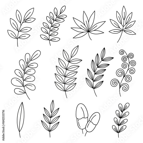 A collection of hand drawn leaf and botanical elements in black outline line art style. Perfect for nature-themed designs, eco-friendly packaging, organic branding, logos, wedding invitations, and dec