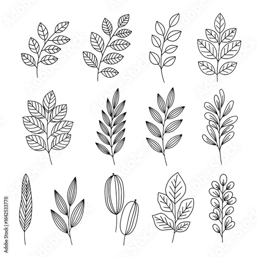 A collection of hand drawn leaf and botanical elements in black outline line art style. Perfect for nature-themed designs, eco-friendly packaging, organic branding, logos, wedding invitations, and dec