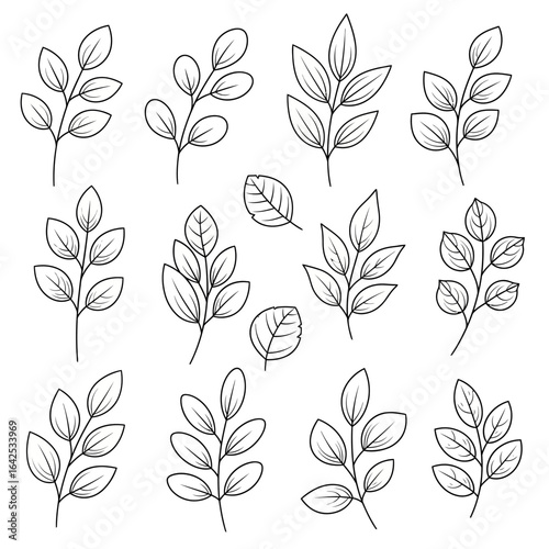 A collection of hand drawn leaf and botanical elements in black outline line art style. Perfect for nature-themed designs, eco-friendly packaging, organic branding, logos, wedding invitations, and dec