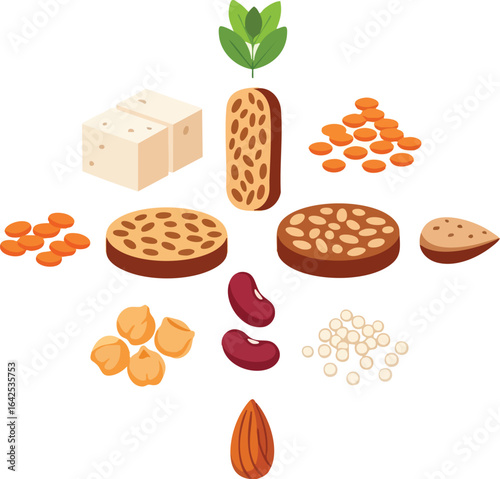 Colorful illustration displaying various plantbased protein sources in a neat arrangement