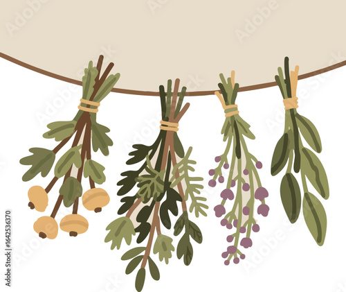 Four dried herbs tied  hanging from a line against white beige backdrop