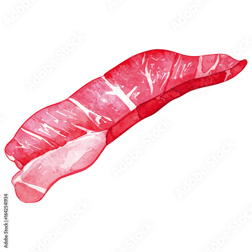 Watercolor Illustration of Juicy Skirt Steak on Transparant Background