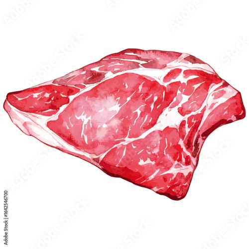 Watercolor Illustration of raw Brisket Beef 