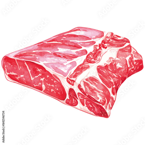 Watercolor Illustration of raw Brisket Beef 