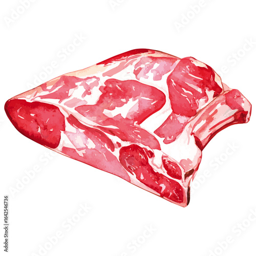 Watercolor Illustration of raw Brisket Beef 