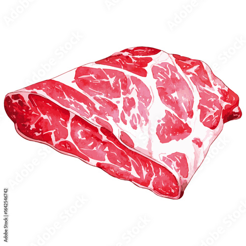 Watercolor Illustration of raw Brisket Beef 