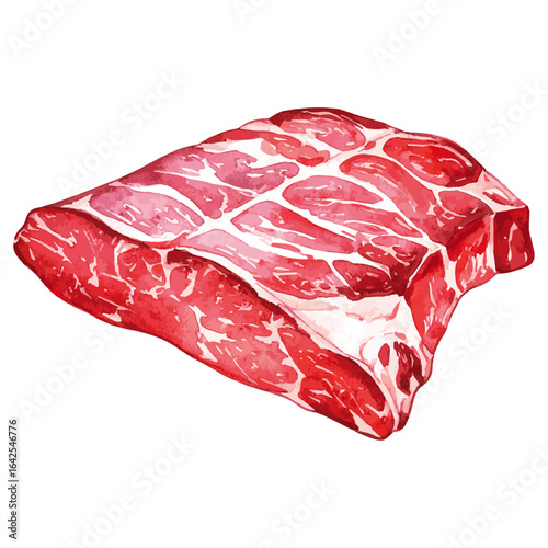 Watercolor Illustration of raw Brisket Beef 