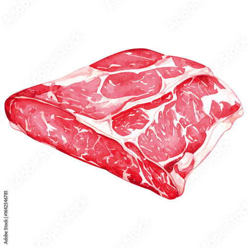 Watercolor Illustration of raw Brisket Beef 