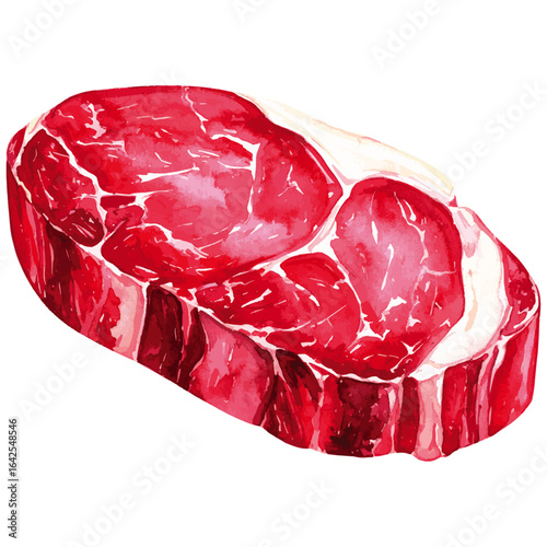 Watercolor Illustration of Raw Ribeye Beef 