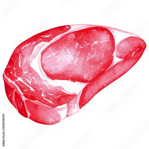 Watercolor Illustration of Raw Ribeye Beef 