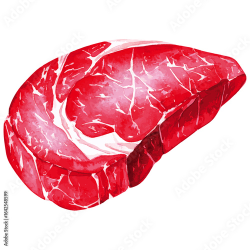 Watercolor Illustration of Raw Ribeye Beef 