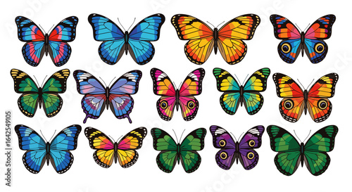 Collection of fifteen colorful butterflies with intricate wing patterns displayed on a white background