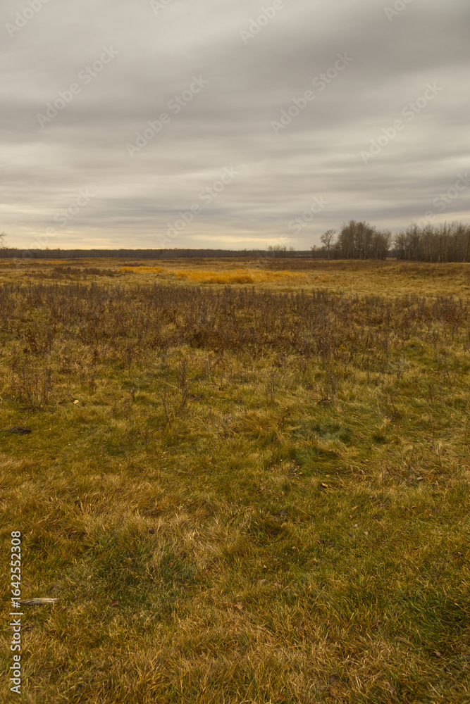 Obraz premium Elk Island National Park on a Cloudy Autumn Day