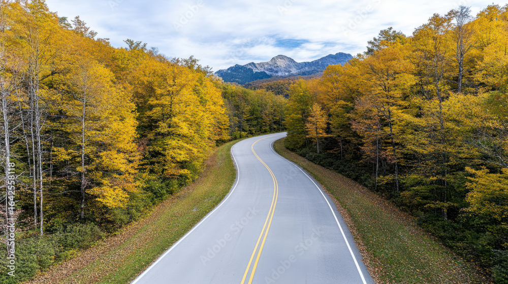 Fototapeta premium Winding road through vibrant autumn forest with mountains in background evokes tranquility