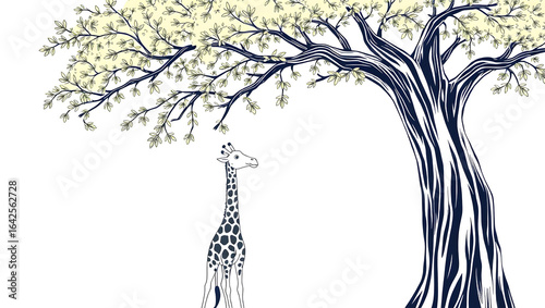 vector illustration of a giraffe 