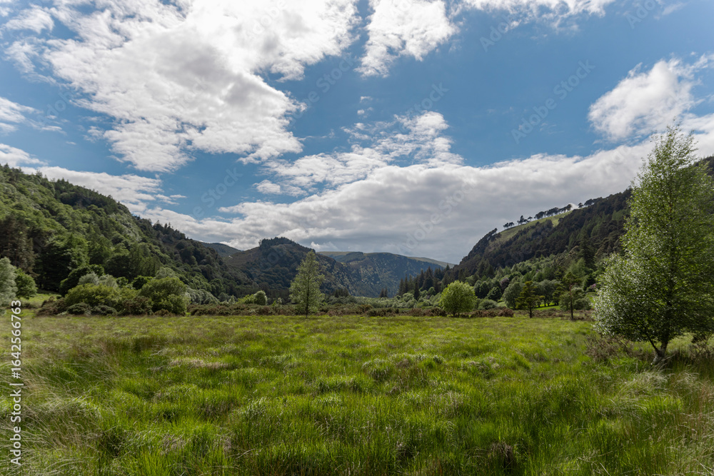 Naklejka premium Ireland Nature