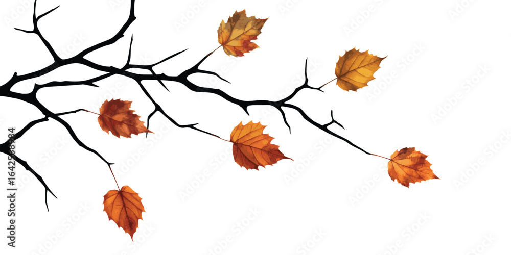 Fototapeta premium Autumn birch branch on a white background, vector illustration