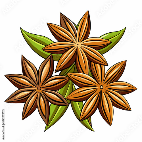 colorful illustration of an anise seeds, isolated on white background