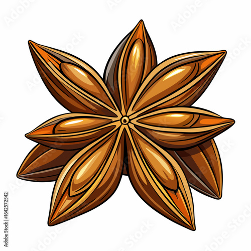 colorful illustration of an anise seeds, isolated on white background