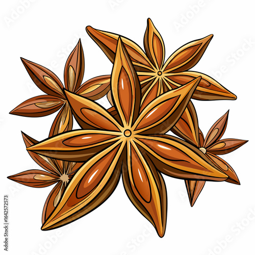 colorful illustration of an anise seeds, isolated on white background