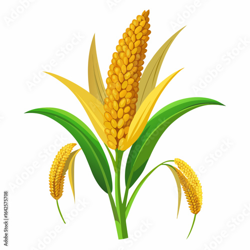 colorful illustration of a millet, isolated on white background
