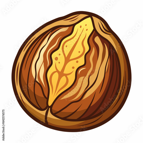 colorful illustration of a nutmeg, isolated on white background