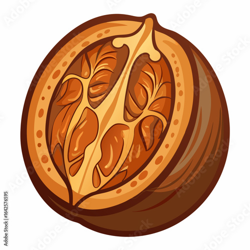 colorful illustration of a nutmeg, isolated on white background