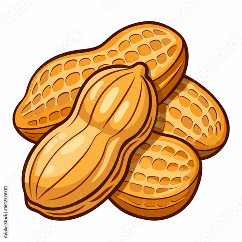 colorful illustration of a peanuts, isolated on white background