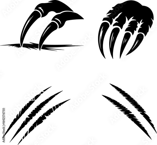 animal claw scratch mark silhouette set wild beast paw illustration, vector illustration of a set of black silhouettes of animals