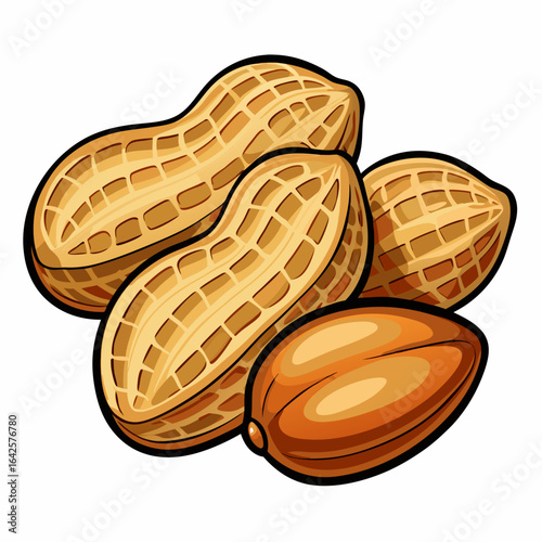 colorful illustration of a peanuts, isolated on white background