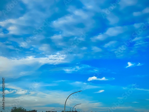 green grass and blue sky