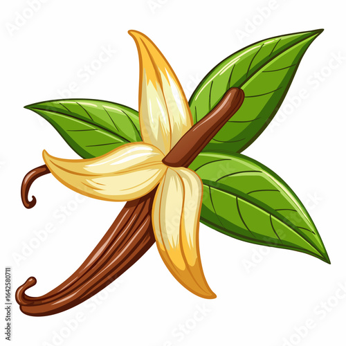 colorful illustration of a vanilla bean, isolated on white background