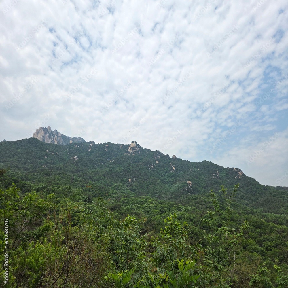 Fototapeta premium mountain landscape with clouds