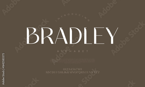 Modern geometric display font with sharp edges, ideal for headlines, branding, and contemporary layouts