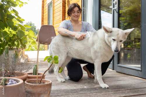 combing the dog